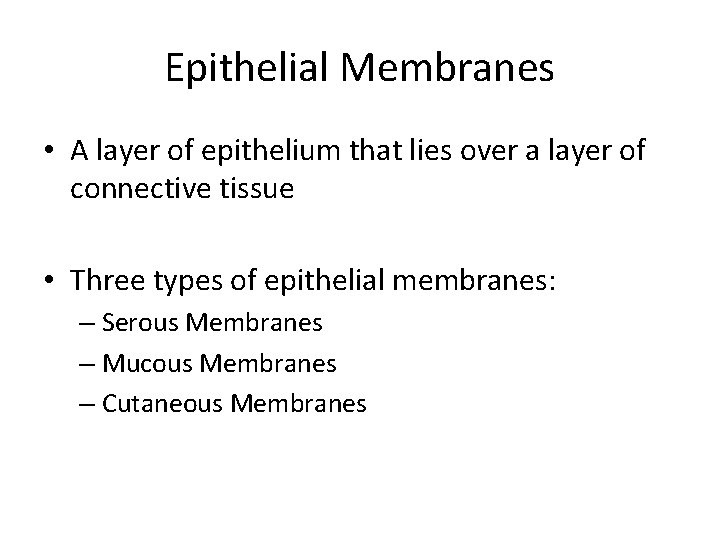 Epithelial Membranes • A layer of epithelium that lies over a layer of connective