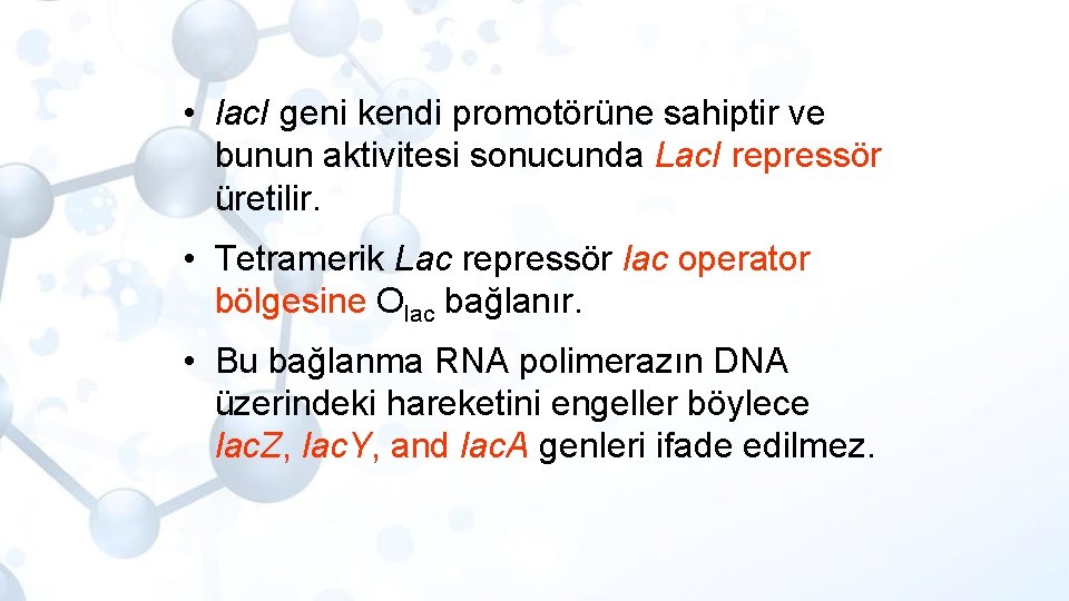  • lac. I geni kendi promotörüne sahiptir ve bunun aktivitesi sonucunda Lac. I