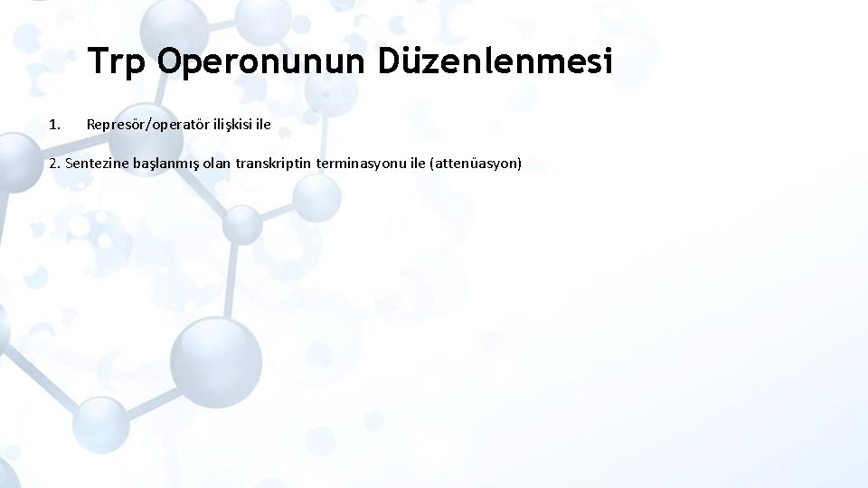 Trp Operonunun Düzenlenmesi 1. Represör/operatör ilişkisi ile 2. Sentezine başlanmış olan transkriptin terminasyonu ile