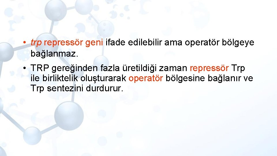  • trp repressör geni ifade edilebilir ama operatör bölgeye bağlanmaz. • TRP gereğinden