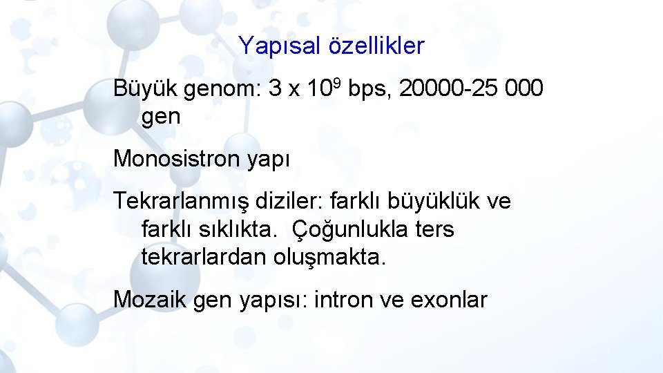 Yapısal özellikler Büyük genom: 3 x 109 bps, 20000 -25 000 gen Monosistron yapı