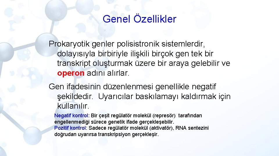 Genel Özellikler Prokaryotik genler polisistronik sistemlerdir, dolayısıyla birbiriyle ilişkili birçok gen tek bir transkript