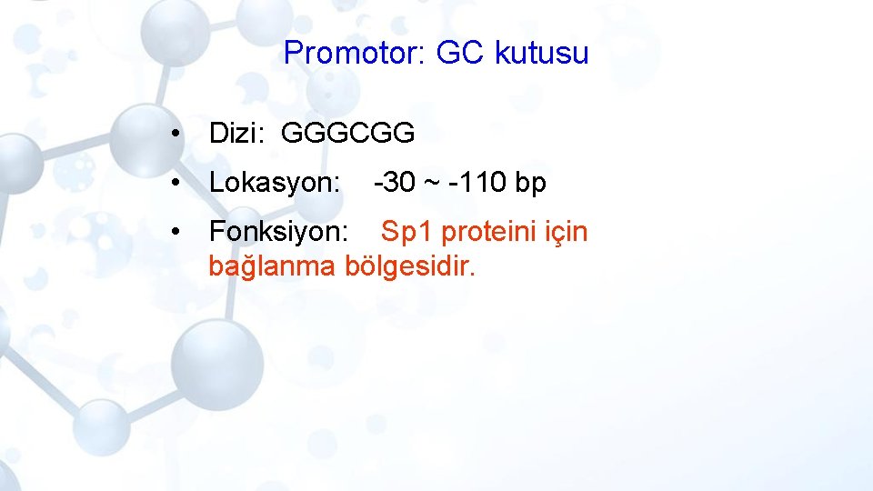 Promotor: GC kutusu • Dizi: GGGCGG • Lokasyon: -30 ~ -110 bp • Fonksiyon:
