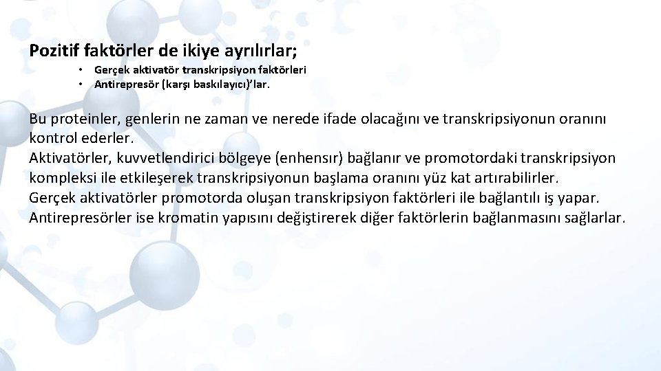 Pozitif faktörler de ikiye ayrılırlar; • Gerçek aktivatör transkripsiyon faktörleri • Antirepresör (karşı baskılayıcı)’lar.