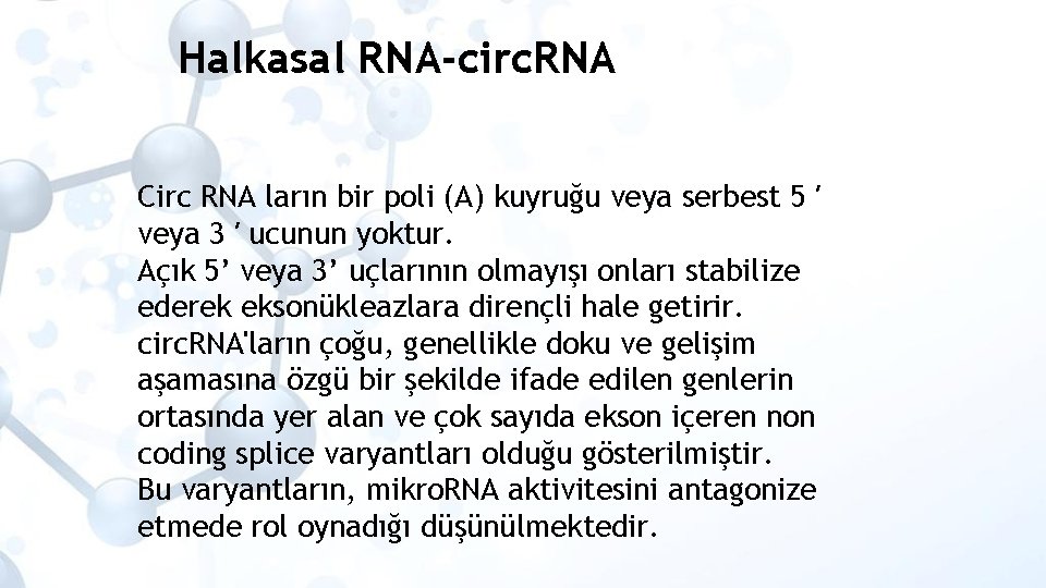 Halkasal RNA-circ. RNA Circ RNA ların bir poli (A) kuyruğu veya serbest 5 ′