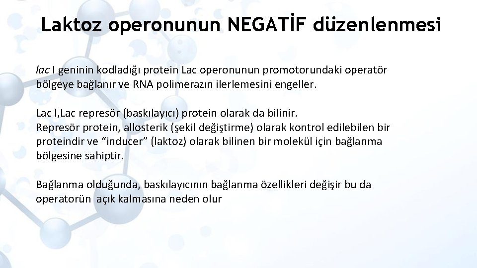 Laktoz operonunun NEGATİF düzenlenmesi lac I geninin kodladığı protein Lac operonunun promotorundaki operatör bölgeye