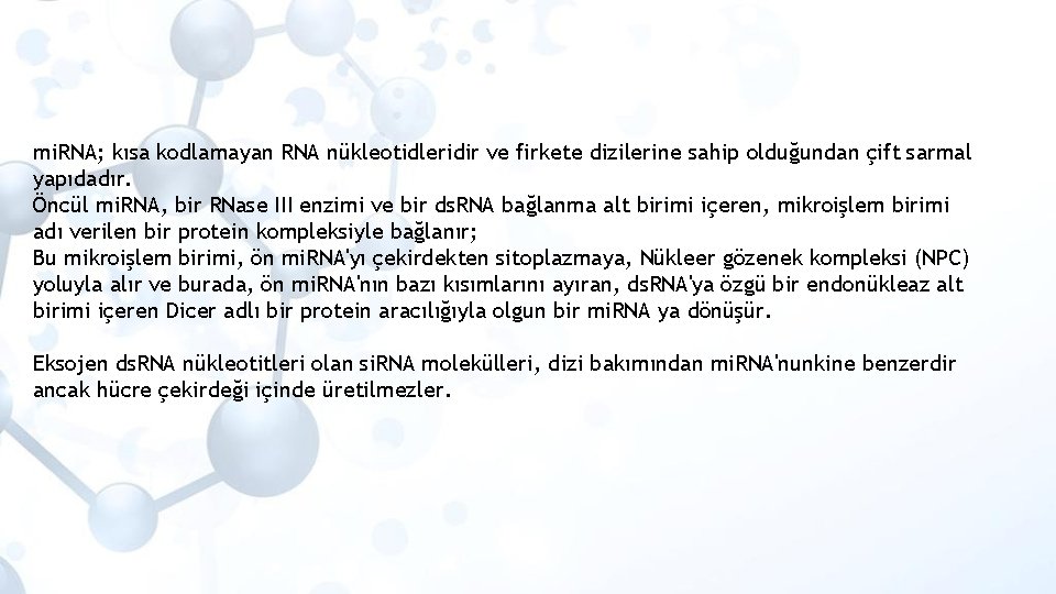 mi. RNA; kısa kodlamayan RNA nükleotidleridir ve firkete dizilerine sahip olduğundan çift sarmal yapıdadır.