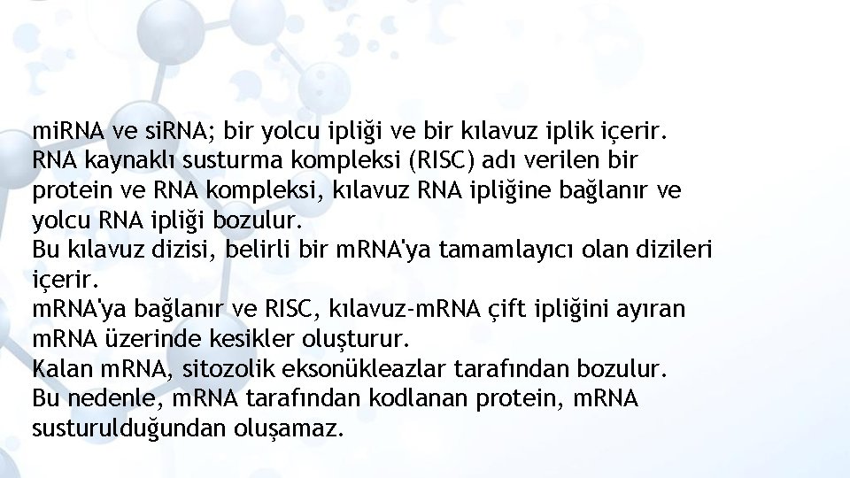 mi. RNA ve si. RNA; bir yolcu ipliği ve bir kılavuz iplik içerir. RNA