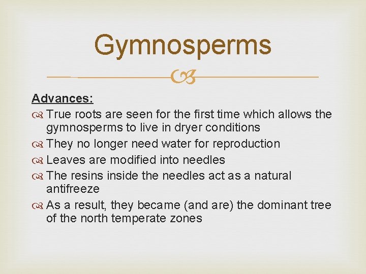 Gymnosperms Advances: True roots are seen for the first time which allows the gymnosperms