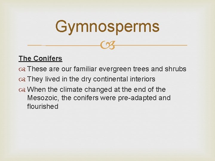 Gymnosperms The Conifers These are our familiar evergreen trees and shrubs They lived in