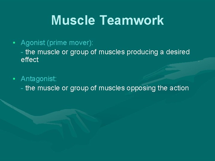 Muscle Teamwork • Agonist (prime mover): - the muscle or group of muscles producing