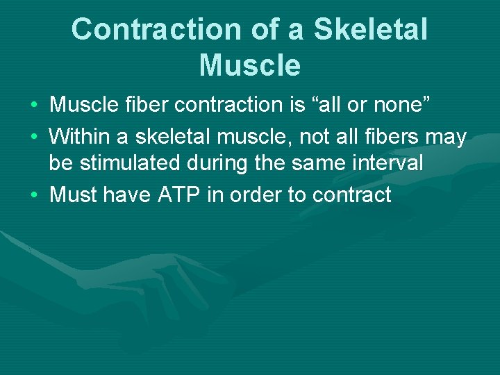 Contraction of a Skeletal Muscle • Muscle fiber contraction is “all or none” •