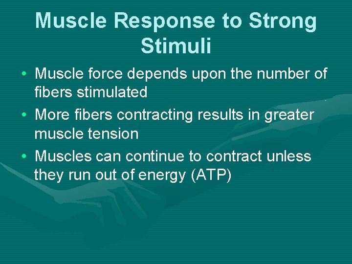 Muscle Response to Strong Stimuli • Muscle force depends upon the number of fibers