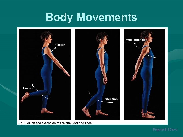 Body Movements Figure 6. 13 a–c 