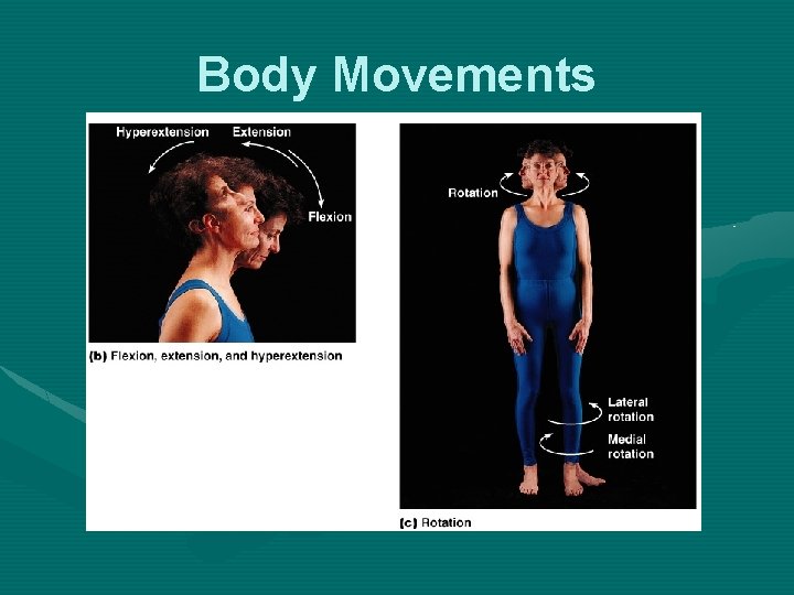 Body Movements 