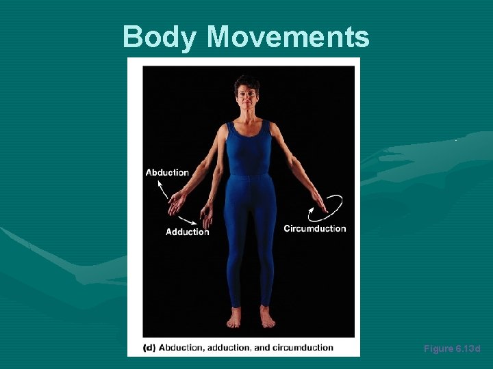 Body Movements Figure 6. 13 d 