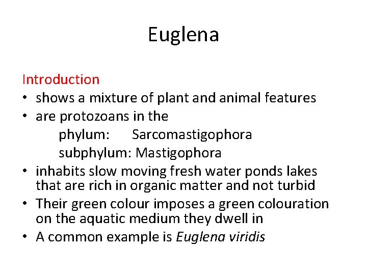 Euglena Introduction • shows a mixture of plant and animal features • are protozoans