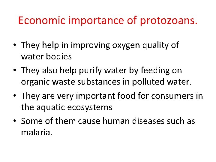 Economic importance of protozoans. • They help in improving oxygen quality of water bodies