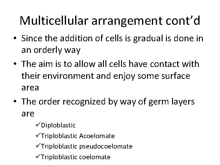 Multicellular arrangement cont’d • Since the addition of cells is gradual is done in