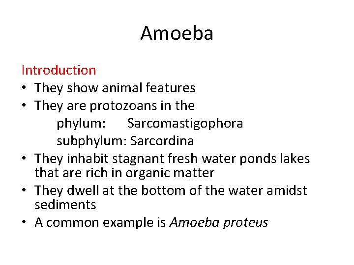 Amoeba Introduction • They show animal features • They are protozoans in the phylum: