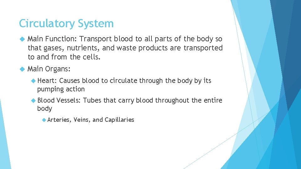 Circulatory System Main Function: Transport blood to all parts of the body so that