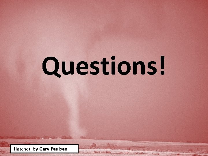 Questions! Hatchet by Gary Paulsen 