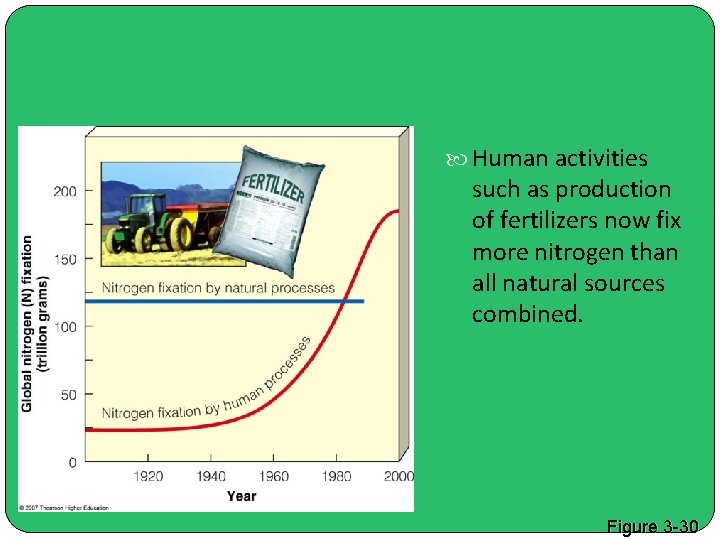  Human activities such as production of fertilizers now fix more nitrogen than all