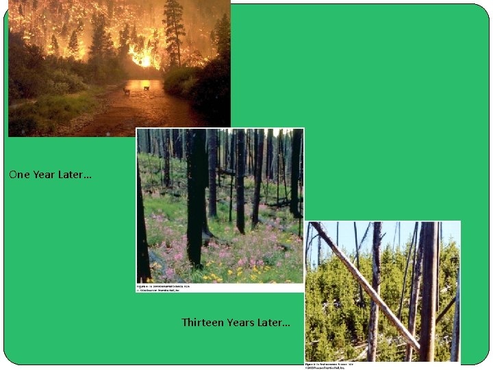 One Year Later… Thirteen Years Later… 