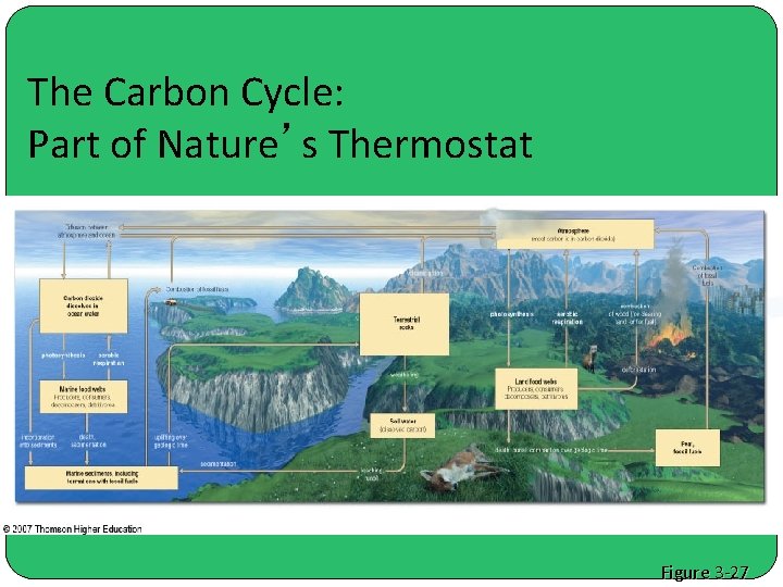 The Carbon Cycle: Part of Nature’s Thermostat Figure 3 -27 