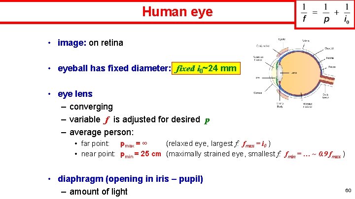 Human eye • image: on retina • eyeball has fixed diameter: fixed i 0~24