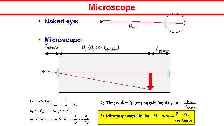 Microscope • Naked eye: • Microscope: – 