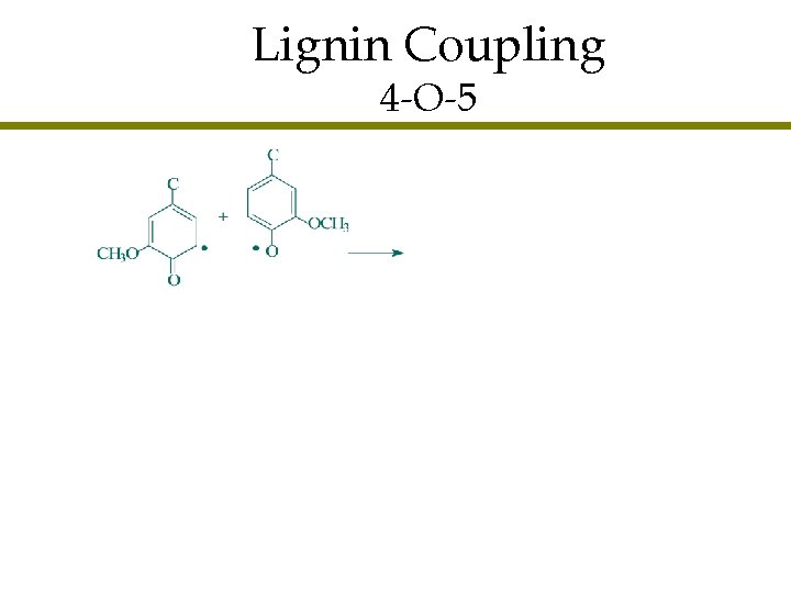 Lignin Coupling 4 -O-5 