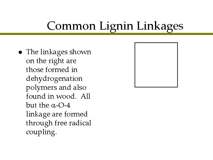 Common Lignin Linkages l The linkages shown on the right are those formed in