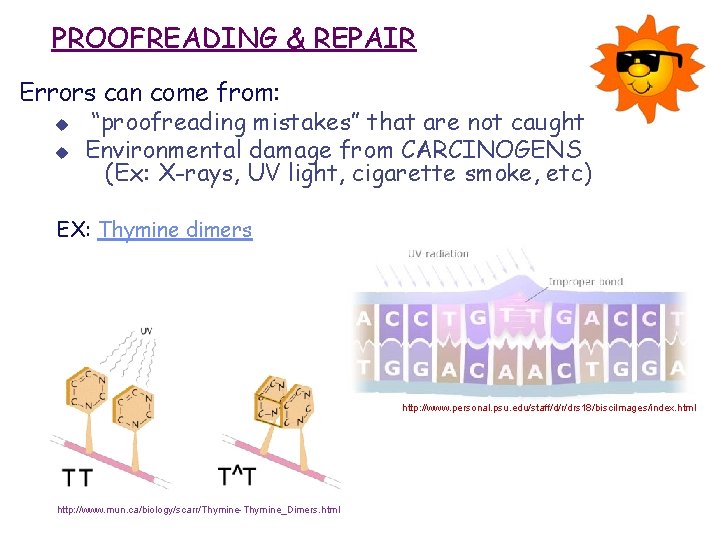 PROOFREADING & REPAIR Errors can come from: u “proofreading mistakes” that are not caught