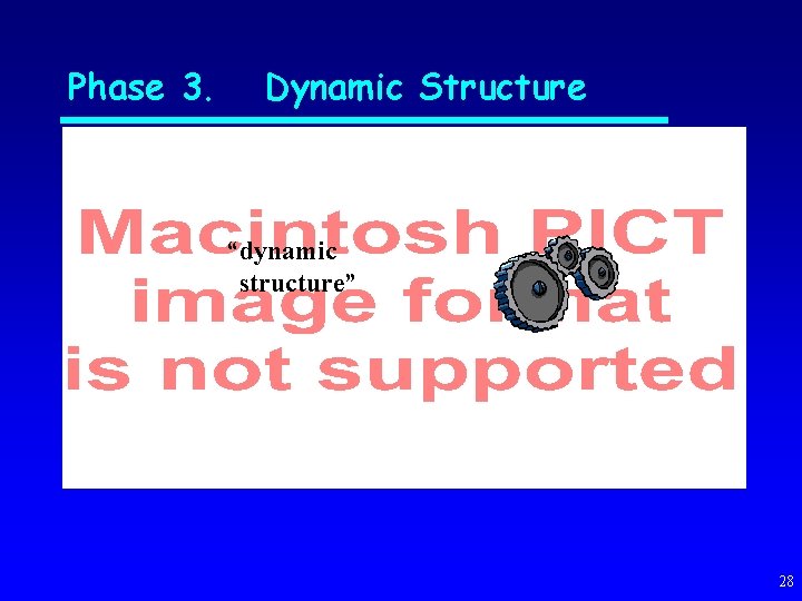 Phase 3. Dynamic Structure “dynamic structure” 28 