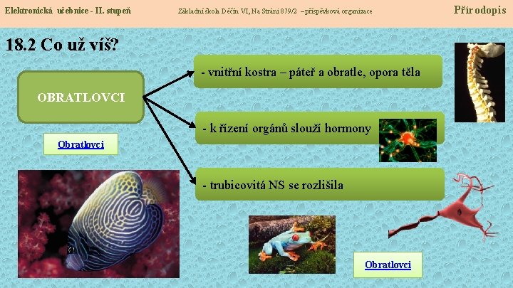 Elektronická učebnice - II. stupeň Základní škola Děčín VI, Na Stráni 879/2 – příspěvková