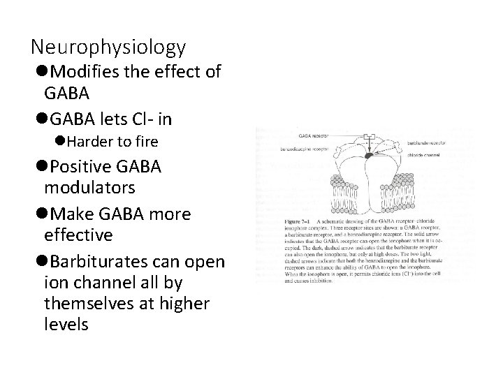 Neurophysiology l. Modifies the effect of GABA lets Cl- in l. Harder to fire