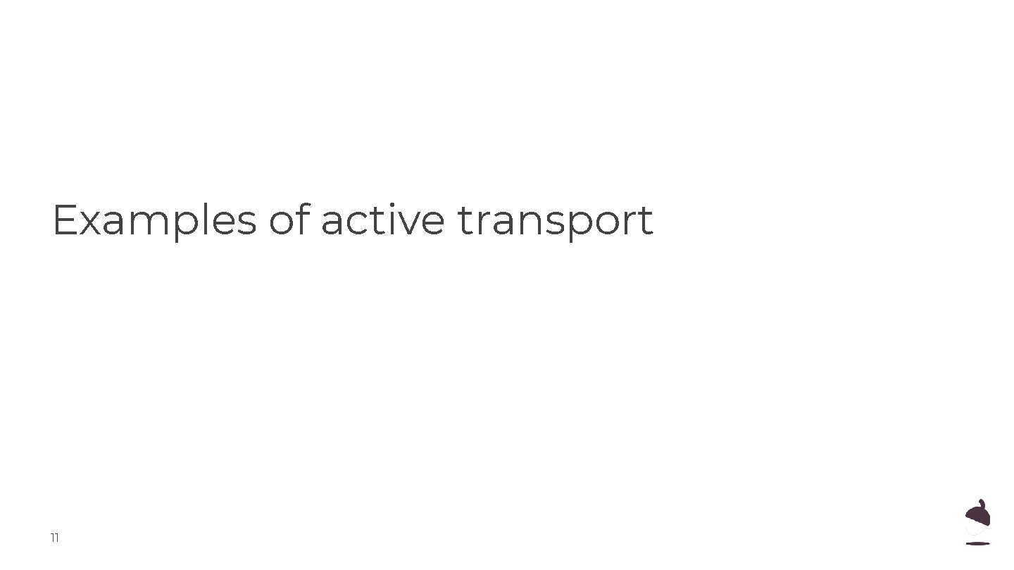 Examples of active transport 11 