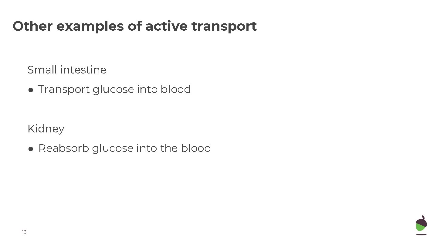 Other examples of active transport Small intestine ● Transport glucose into blood Kidney ●