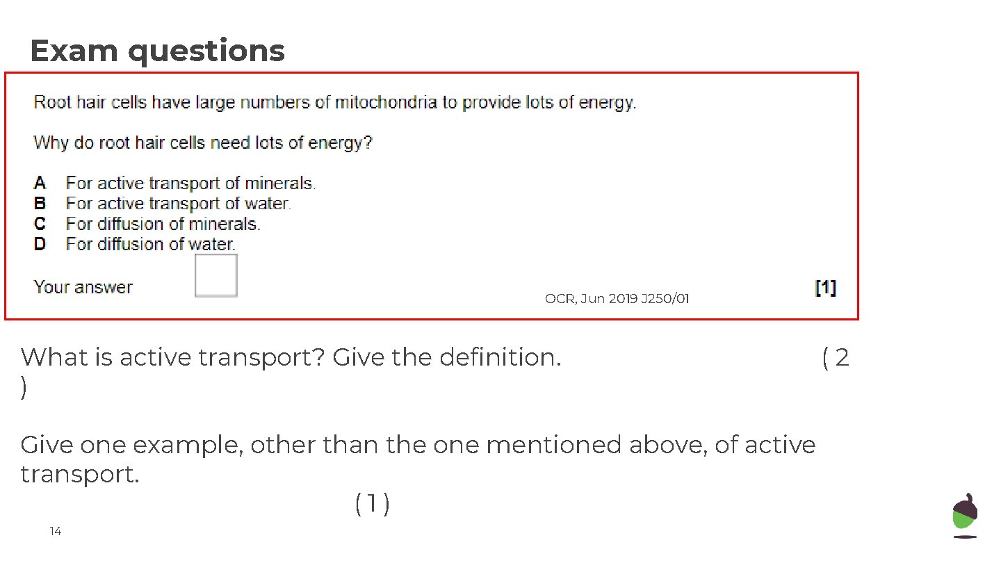 Exam questions OCR, Jun 2019 J 250/01 What is active transport? Give the definition.