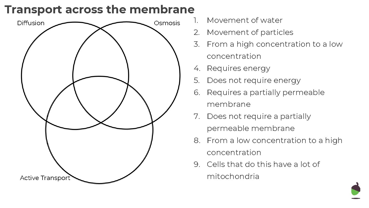 Transport across the membrane Diffusion Osmosis Independent practice 1. Movement of water 2. Movement