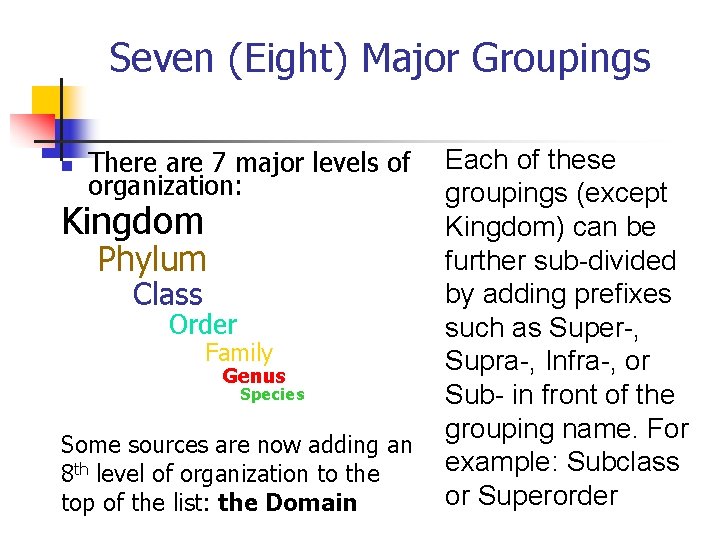 Seven (Eight) Major Groupings n There are 7 major levels of organization: Kingdom Phylum