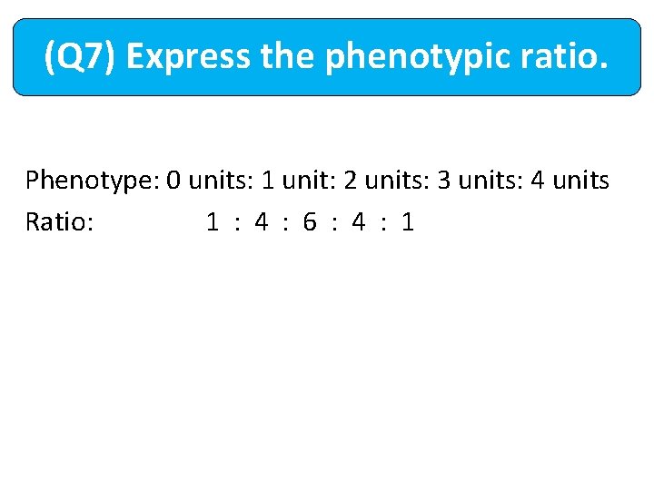 (Q 7) Express the phenotypic ratio. Phenotype: 0 units: 1 unit: 2 units: 3