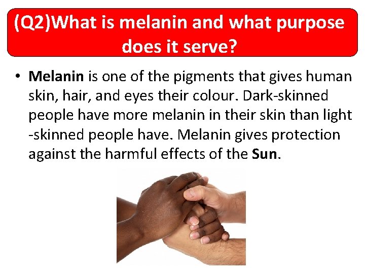 (Q 2)What is melanin and what purpose does it serve? • Melanin is one