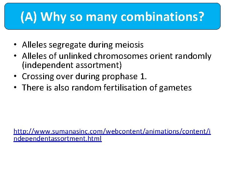 (A) Why so many combinations? • Alleles segregate during meiosis • Alleles of unlinked