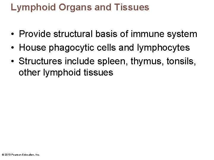 Lymphoid Organs and Tissues • Provide structural basis of immune system • House phagocytic