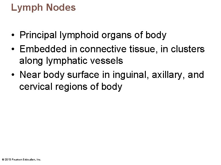 Lymph Nodes • Principal lymphoid organs of body • Embedded in connective tissue, in