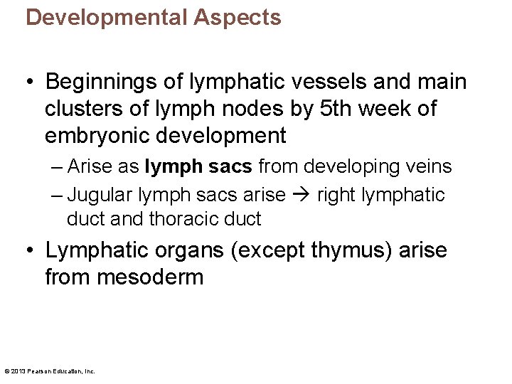 Developmental Aspects • Beginnings of lymphatic vessels and main clusters of lymph nodes by