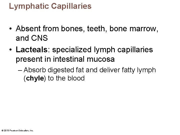 Lymphatic Capillaries • Absent from bones, teeth, bone marrow, and CNS • Lacteals: specialized