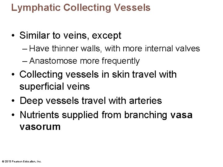 Lymphatic Collecting Vessels • Similar to veins, except – Have thinner walls, with more